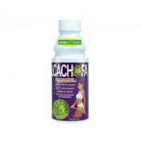 ALCACHOFA